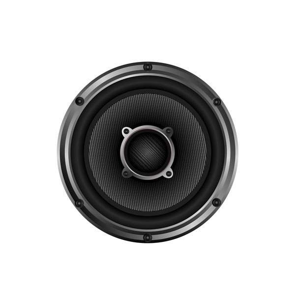 Pioneer TS-W126M Car Subwoofers - Sub driver only, Black